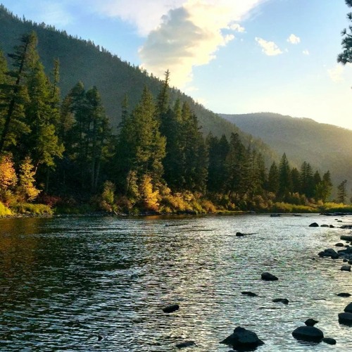 A River Runs Through It