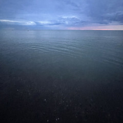 taken back (fin)