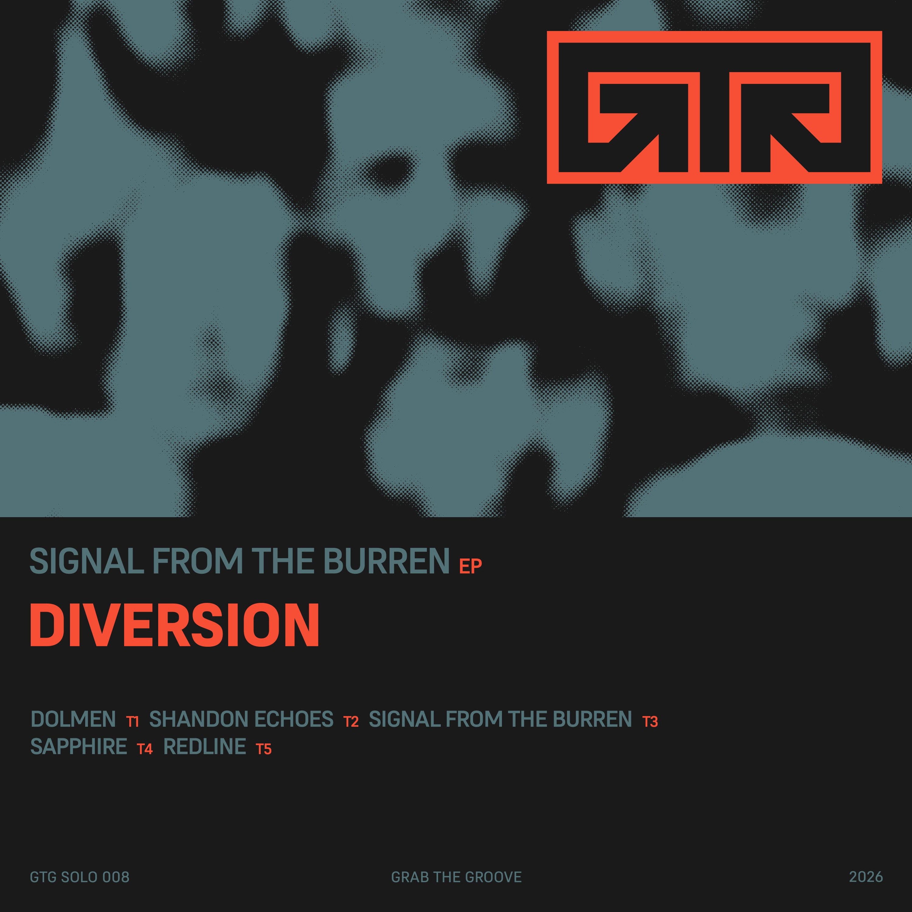 Premiere: DIVERSION — Shandon Echoes [GTGSOLO008] episode artwork