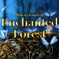 Marcus Knudsen - Enchanted Forest