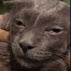 Papi $nippet (prod. BajaFlexx)