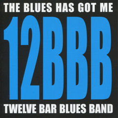 Everyday I Have the Blues