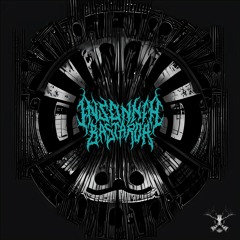 InsonniaBastarda - Mental Illusion (Miky Teknorap Version)