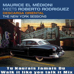 Tu Naurais Jamais Du (Walk it like you talk it mix) ft Maurice El Medioni