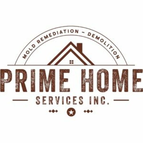 The Best Mold Removal Services in Canada | Prime Home Services