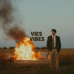VIES VIBES - Memories Bark