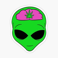 2k Ft 024brunitto (Prod.313)