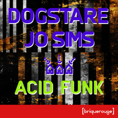 06 - Dogstare & Jo Sims - Acid Funk (Drums n Pads)