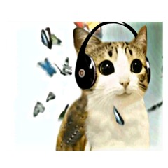 Science (2hunnaswag)