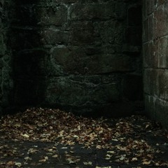 Dark Dungeon