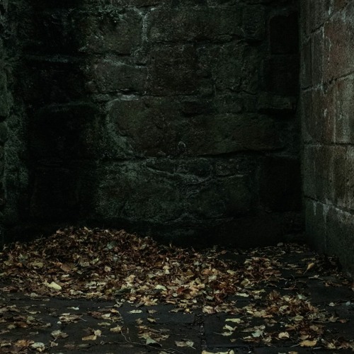 Dark Dungeon