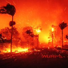 The Palisades Fire