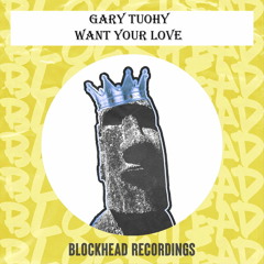 Gary Tuohy - Want Your Love (Original)