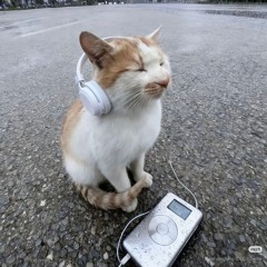 ion like that (lyrics in desc)