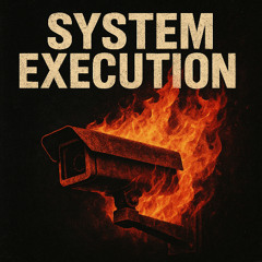 SYSTEM EXECUTION