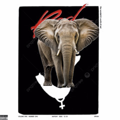 sky - playboi carti elephant remix