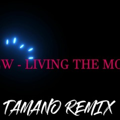 איילו - חי את הרגע Ayallew - Living The Moment (TAMANO REMIX)