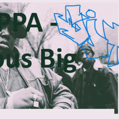 Big Poppa Remix - DEEJAY T