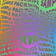 DKVPZ Guitar Loop 134 Dmin