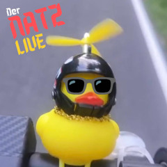 NATZ ⭕LIVE⭕ - Pual