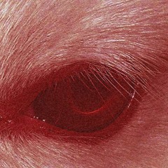 I Do Not Want To Say Anything