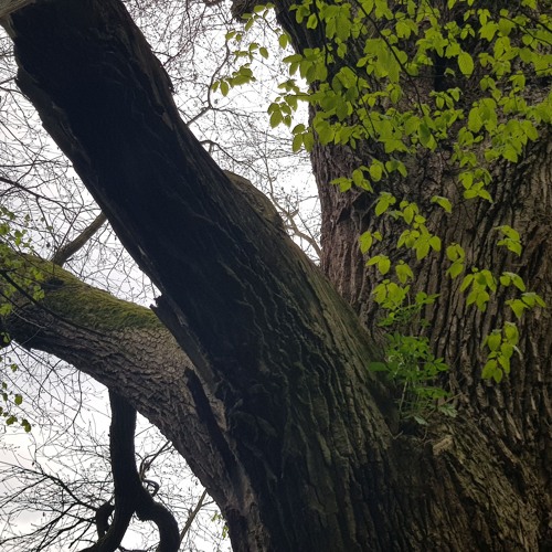 JULI 2024 Monatsbotschaft