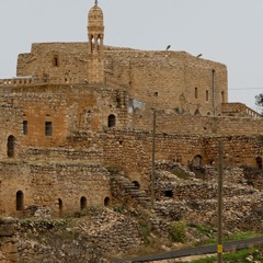 Di Ser Şevê Re Tem