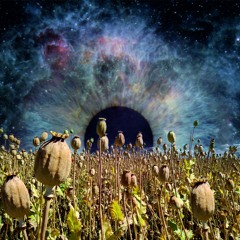 01. Deep Cosmic Kisses