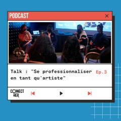 Talk - Se professionnaliser en tant qu'artiste - Episode 3