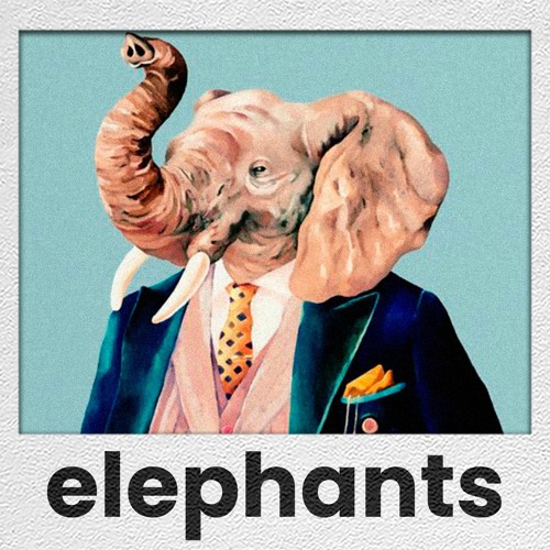 Elephants