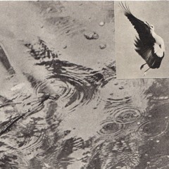 Jordmenneske - Kraftvesen