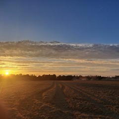 Wild As Her (MORGAN WALLEN)