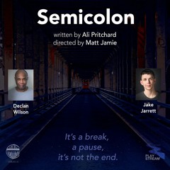 Semicolon by Ali Pritchard