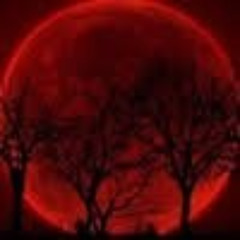 В ПолНочь Skoozi XashXavier.flac