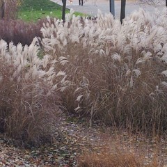 Kuschelrock 3 mixed by dj maikl