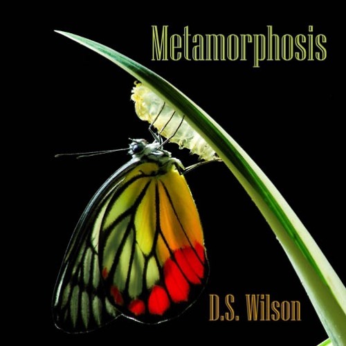 D.S. Wilson : Metamorphosis