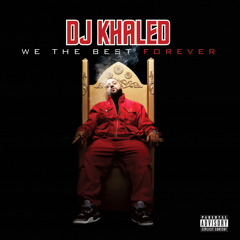 I'm Thuggin (Album Version) [feat. Waka Flocka Flame & Ace Hood]