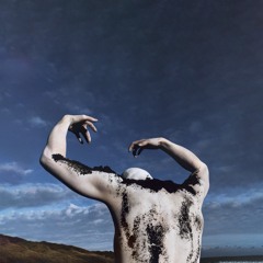Brauer - Optimism