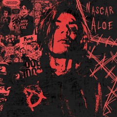 NASCAR ALOE - ASYLUM (SNIPPET)