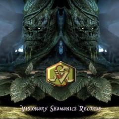 Wizatec - Mystical Voyagers Visionary Shamanics Show 150-155