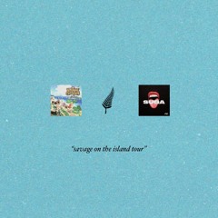 Megan Thee Stallion x Animal Crossing - Savage on the Island Tour (Staggr Mix) [MASHUP]