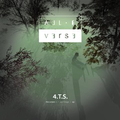 08-bonus track-4.T.S.