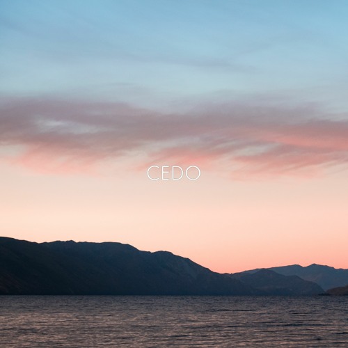 Malcom Beatz X Diogo Piçarra, Type Beat ''Cedo''