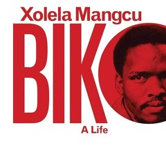 PDF✔read❤online Biko: A Life