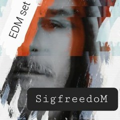 SigfreedoM Salient Musicapplication 2023