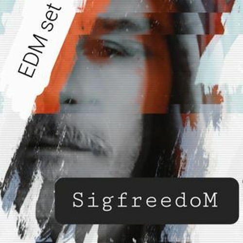 SigfreedoM Salient Musicapplication 2023