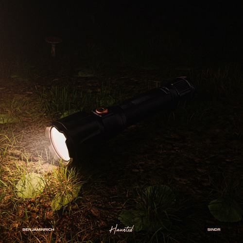 BENJAMINRICH x sindr - Haunted