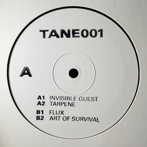 DS Premiere: Chontane - Invisible Guest [TANE001]