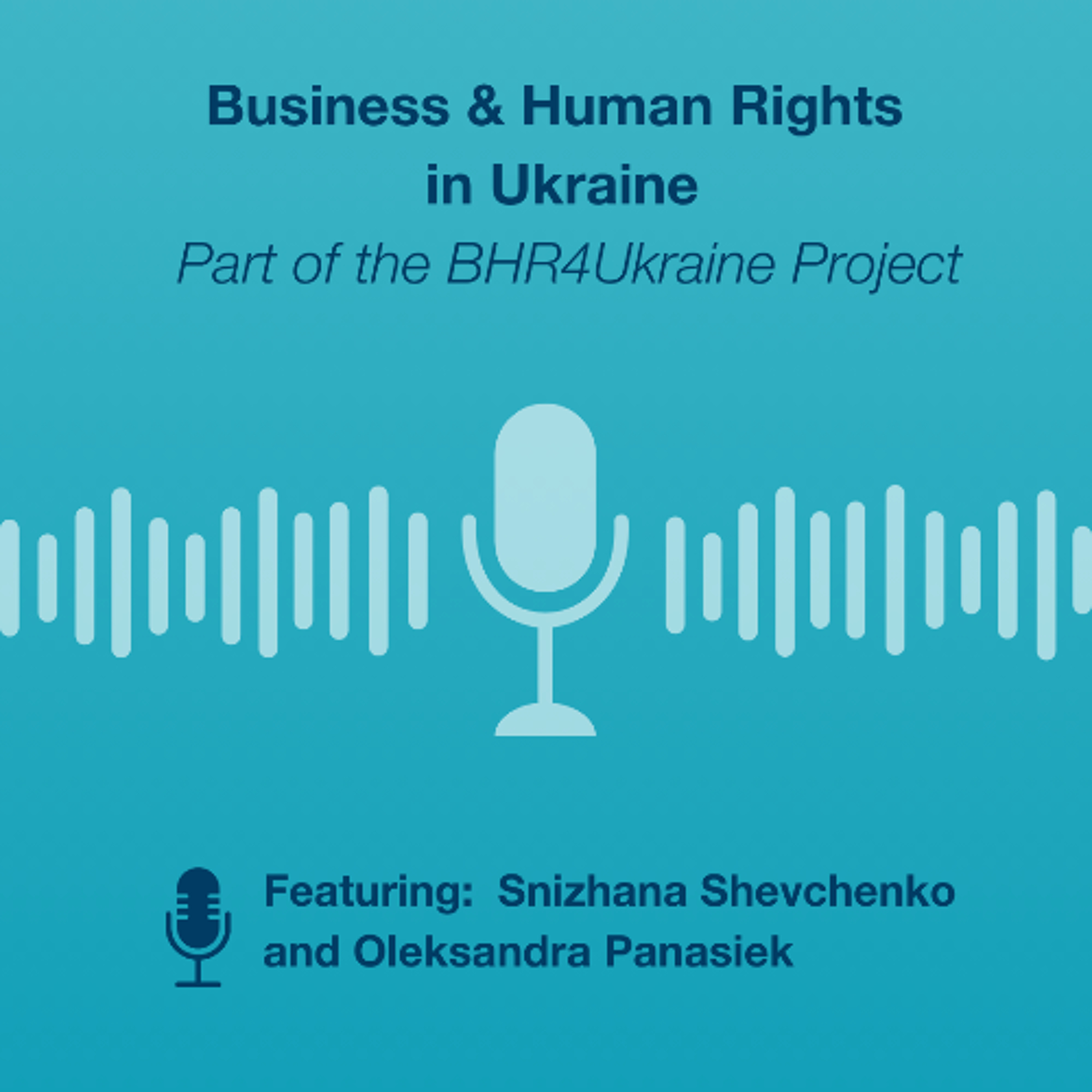 Snizhana Shevchenko on Business and Human Rights in Ukraine 2 (In Ukrainian)
