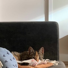 if i was a folkstar   // 12.10.22